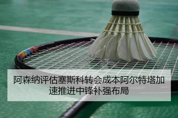 a-sen-na-ping-gu-sai-si-ke-zhuan-hui-cheng-ben-a-er-te-ta-jia-su-tui-jin-zhong-feng-bu-qiang-bu-ju-2-215.jpg